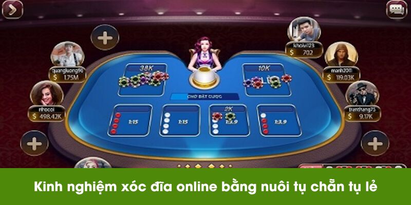 Kinh nghiệm xóc đĩa online bằng nuôi tụ chẵn tụ lẻ