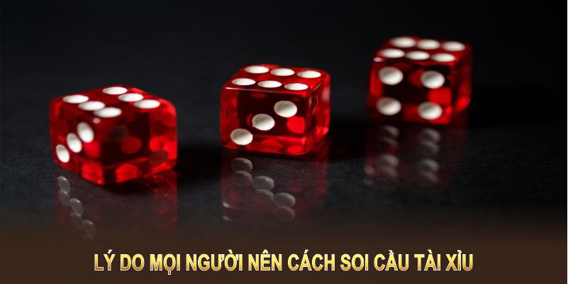 Lý do mọi người nên cách soi cầu tài xỉu tại nhà cái của chúng tôi