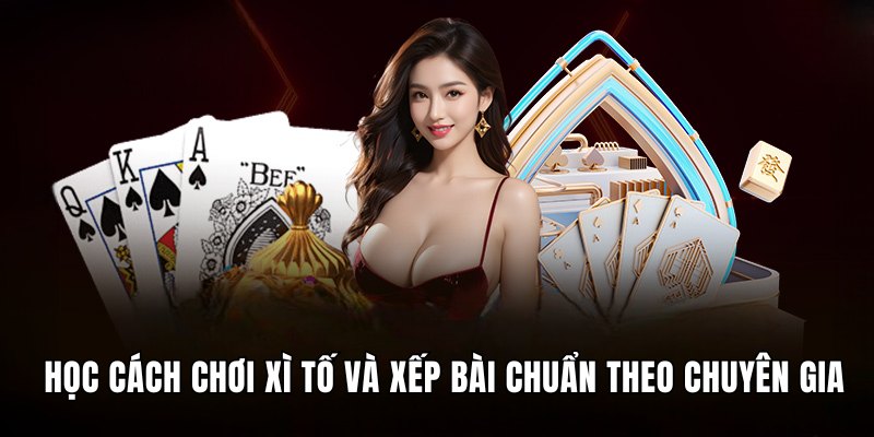 Học cách chơi Xì Tố, xếp bài chuẩn theo chuyên gia