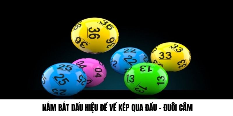 Xem dấu hiệu nhanh qua đầu hoặc đuôi câm